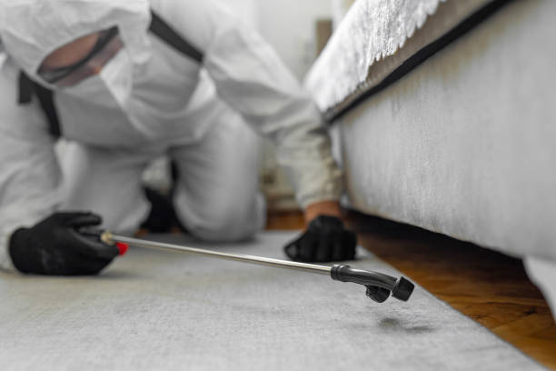 Professional Cockroach Control technician working in Rice Lake, MN