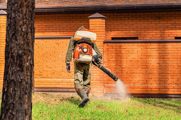 Top rated local Cockroach Control specialists in Rice Lake, MN